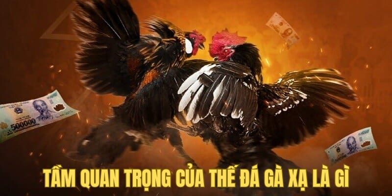 Tầm quan trọng của thế đá gà xạ là gì